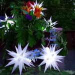 The Herrnhuter plastic star chain have 10 small stars ( 5 inch) and is a great waterproof decoration for inside and outside